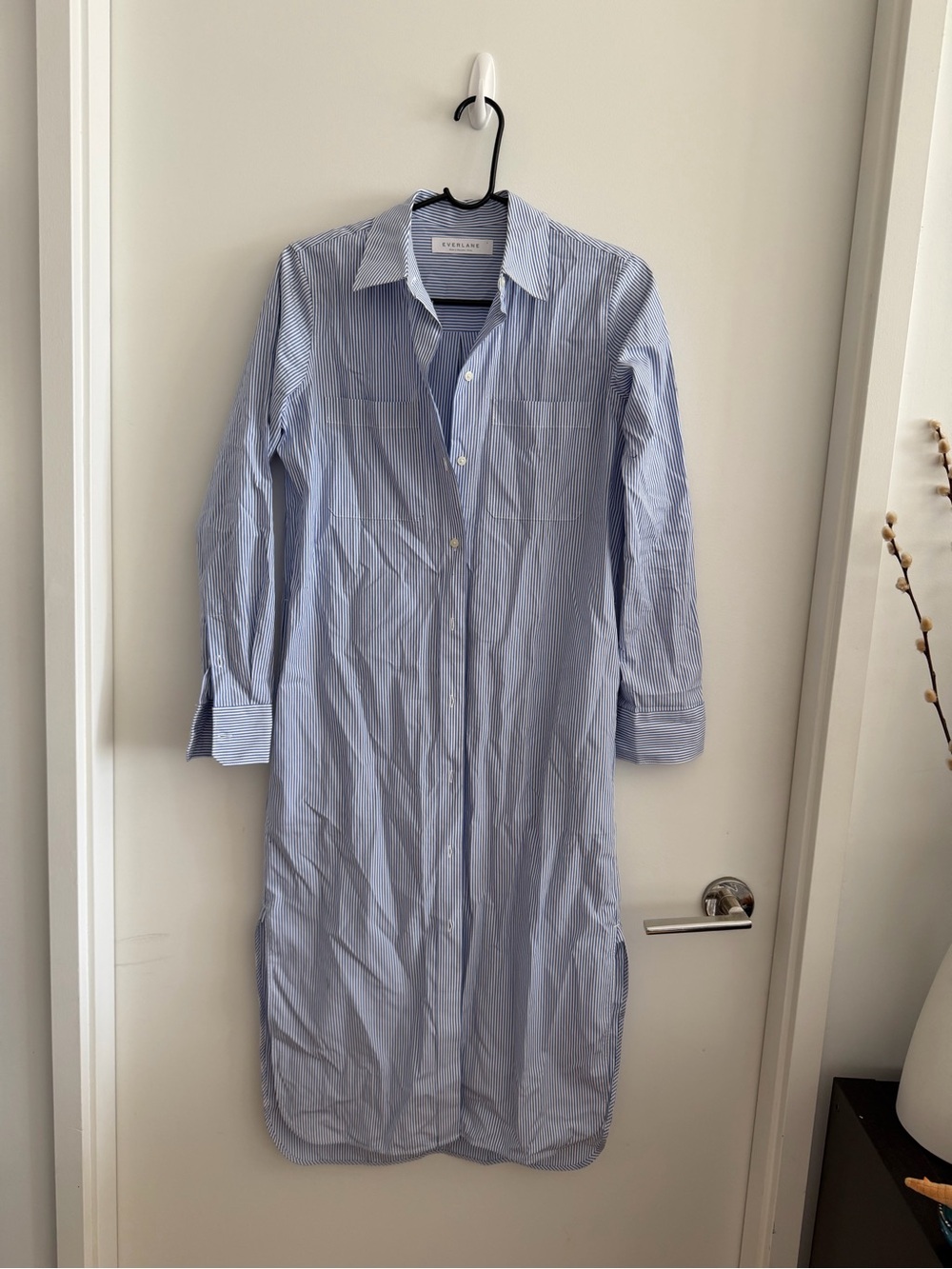 Everlane Light Blue Striped Button-Down Shirt Dress